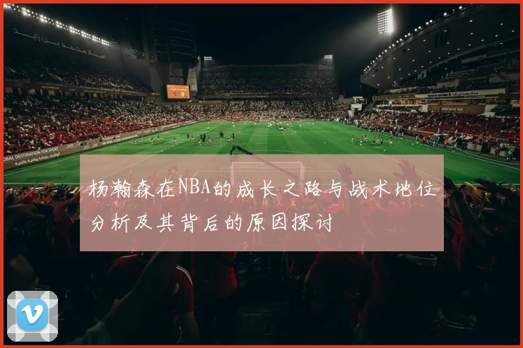 杨瀚森在NBA的成长之路与战术地位分析及其背后的原因探讨