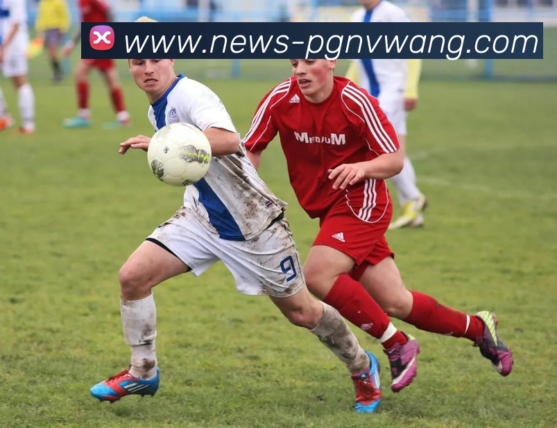 多媒体互动体验