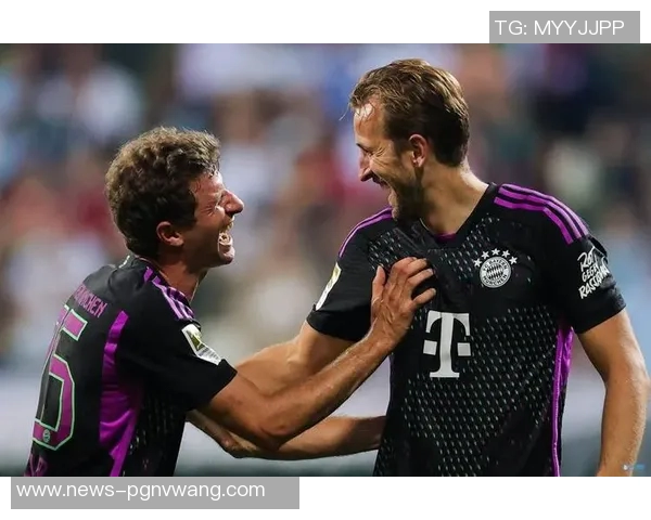 拜仁与汉堡接近达成协议终止佩雷茨租借球员将外租至南安普顿